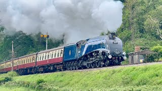 West Somerset Railway - Spring Steam Spectacular - Monday 04/05/2026