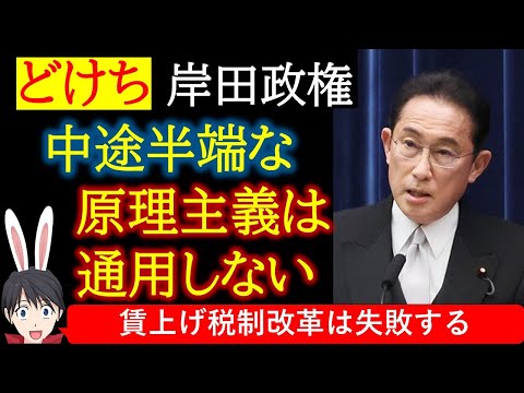 【時事】岸田政権の税制改革「賃上げ税制には効果が無い」