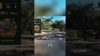 Disc Golf Pro Reveals Hole 12 Strategy: Can He Make It? #shorts