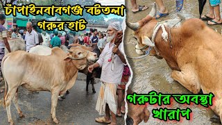 চাঁপাইনবাবগঞ্জ বটতলা হাটে কুরবানির গরুর দাম | Chapainawabganj Battala Cow Market