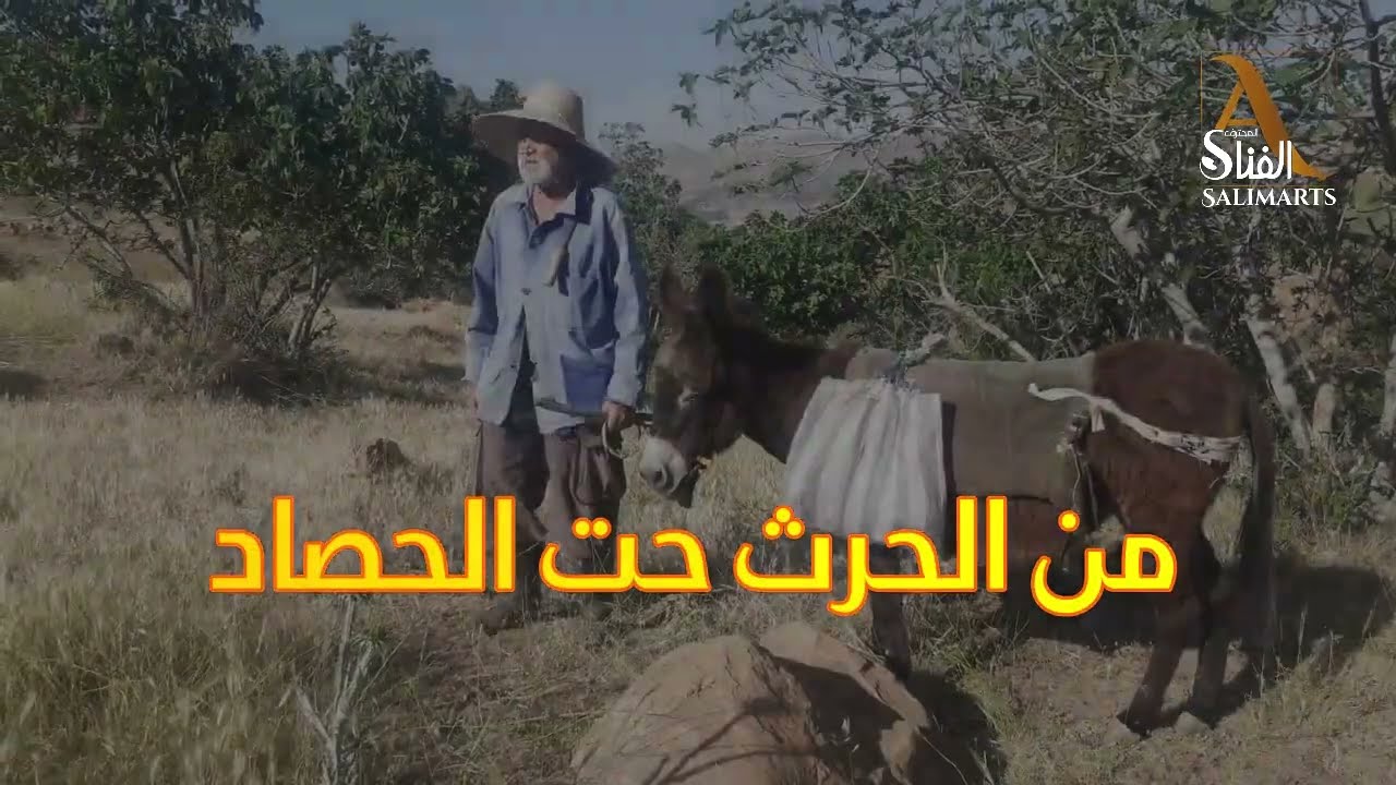 القيقبة -الشعبة -عمي مجيد- من الحرث حتى الحصاد الحلقة الثالثة