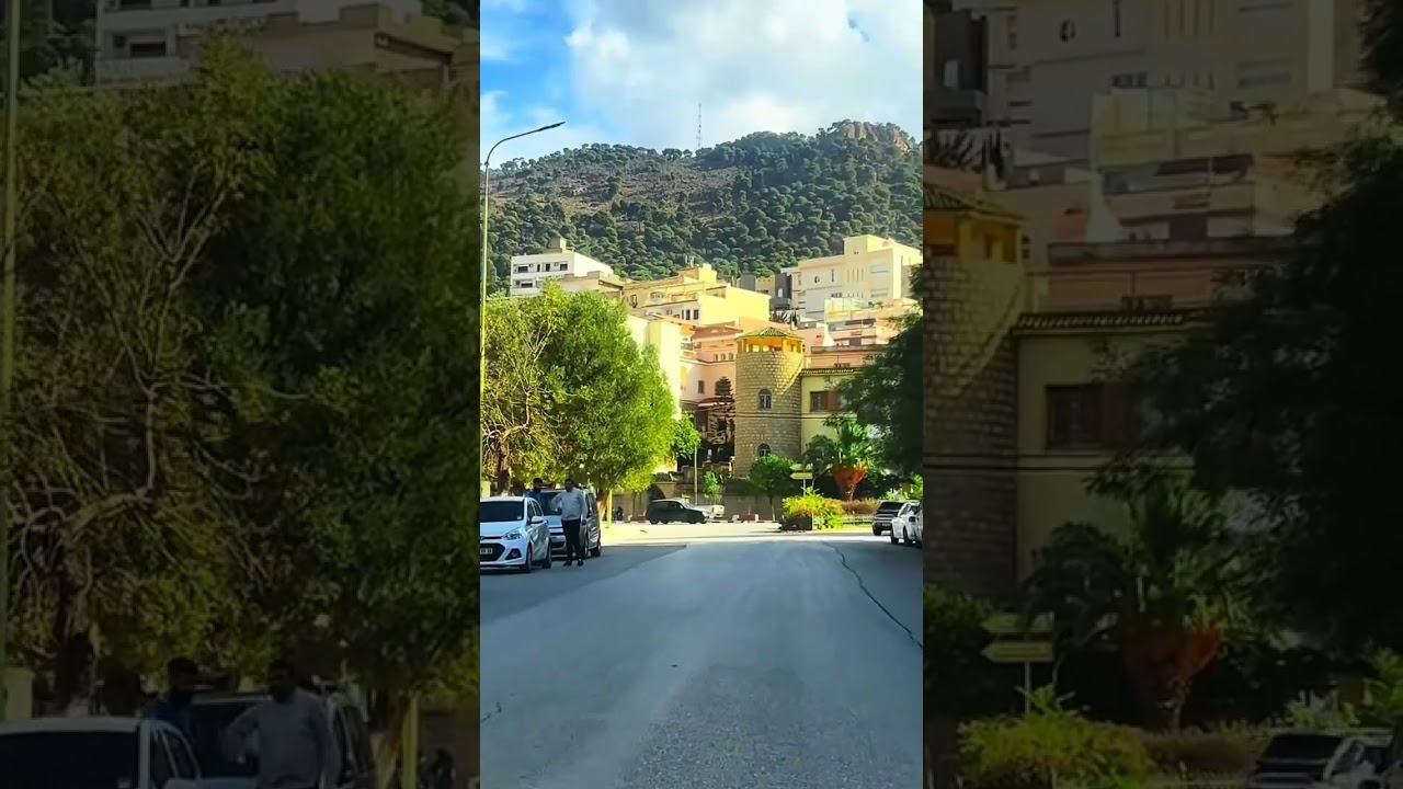 الشيخ صالح الفوزان