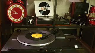 Erol Evgin Aldım Başımı Gidiyorum Plak Kayıt