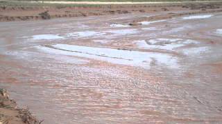 CAMPOS 9534 Y 12100 HAS LA RIOJA ARGENTINA