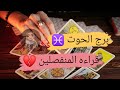 برج الحوت   قراءه المنفصلين   أنا ضائع حقا بدونك مع ميرو   