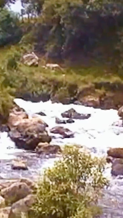 A Trip Through Ecuador 1995