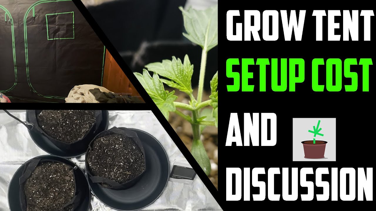 Grow Tent Cost Breakdown (Indoor Cannabis)