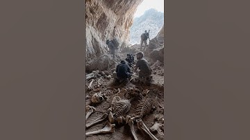 Archaeologists Unearth Chupacabra Bones in Mexican Cave