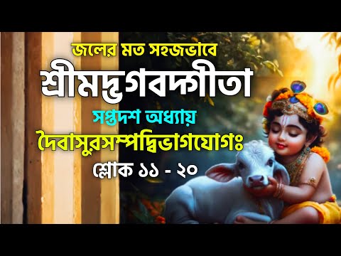 জলের মত সহজভাবে শ্রীমদ্ভগবদগীতা সপ্তদশ অধ্যায় শ্রদ্ধাত্রয়বিভাগয়োগঃ শ্লোক ১১ - ২০