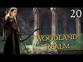 LEGOLAS MARCHES NORTH - Third Age: Total War [DAC AGO] - Woodland Realm - Chapter 20