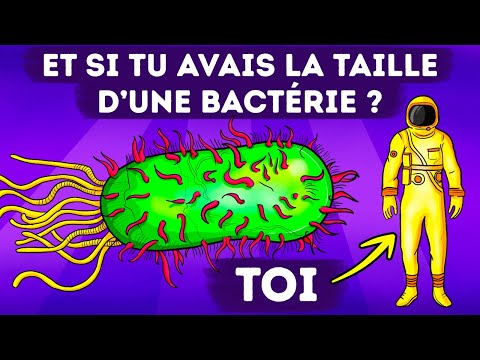 Vidéo: Comment Les Bactéries Qui Sont Apparues Il Y A 450 Millions D'années Sont-elles Devenues Des Super-bactéries Dangereuses? - Vue Alternative