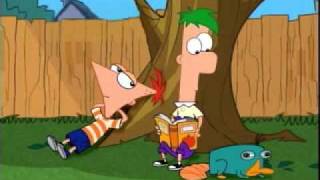 Disney Channel - Phineas and Ferb What do you want to do today!