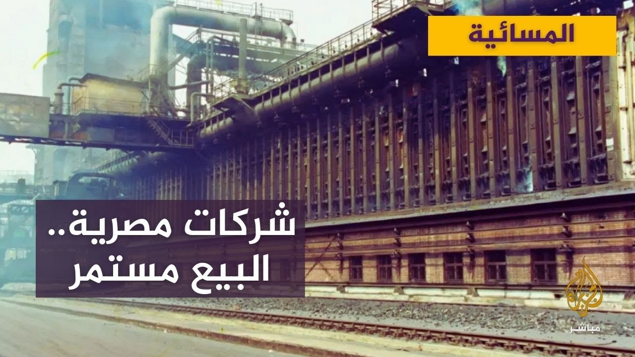 لماذا يتم بيع الشركات المصرية؟