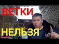 Какие ВЕТКИ НЕЛЬЗЯ давать кроликам.Почему некторые ветки нельзя давать кроликам.