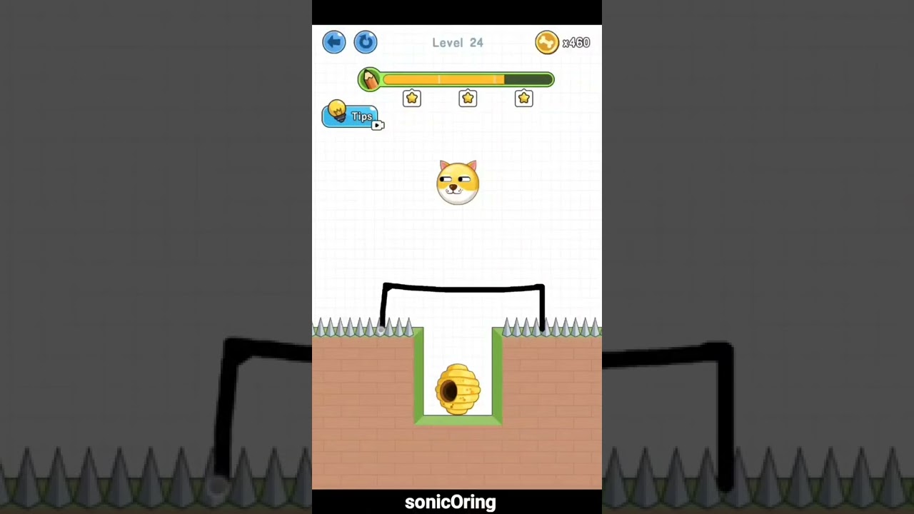 Save the Doge Level 21 22 23 24 25 Walkthrough - YouTube