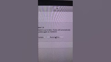 Restoring a 2005 iPod Classic 5th Gen with iTunes #ipodclassic #iPod #retrotech