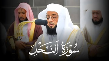 تلاوة لاتوصف في ليلة إبداعية من ليالي رمضان 1445ه‍ | ماتيسر من #سورة_النحل | فضيلة الشيخ #بدر_التركي