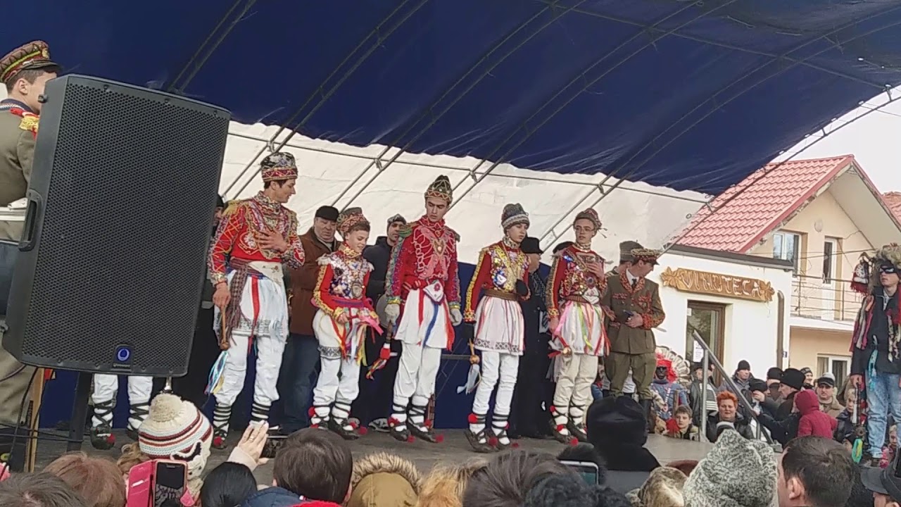 Arnauti din baltatesti !!!