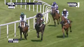 All race finishes from Bet365 Jump Finale at Sandown