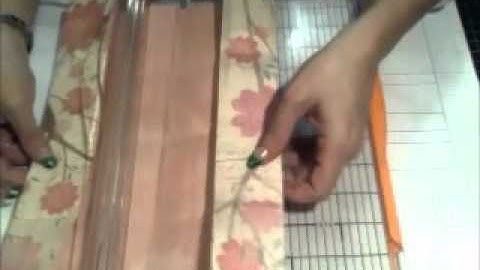 Address book or Tag book