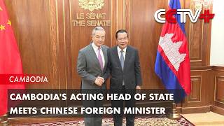 Cambodia's Acting Head of State Meets Chinese Foreign Minister