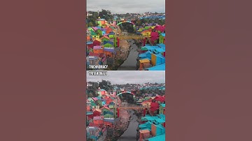 How do those with colour blindness perceive the rainbow village? #Shorts #ColourBlind #ColorBlind