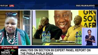 President Ramaphosa files ConCourt papers to review Phala Phala report:  Dr Fikile Vilakazi