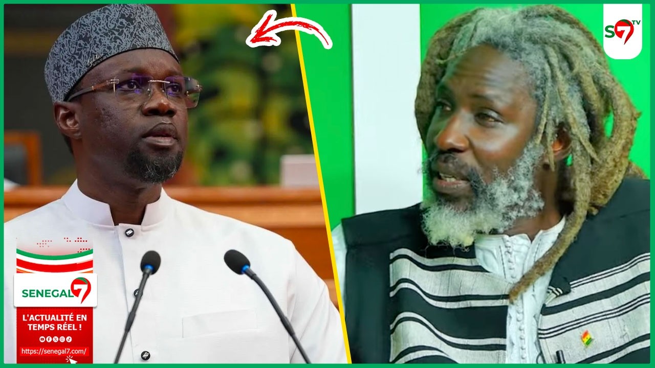 Durcissement peines: les mots forts de D. Ndiasse sur SONKO 