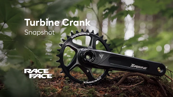 Turbine Crank Snapshot