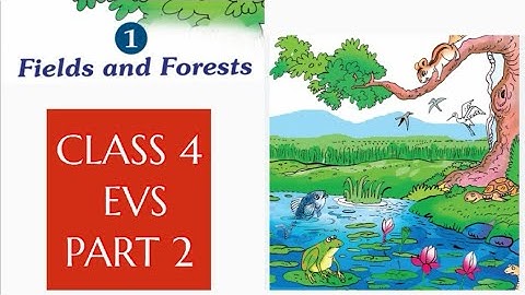 KERALA CLASS 4 EVS UNIT 1/ PART 2/FIELDS AND FORESTS