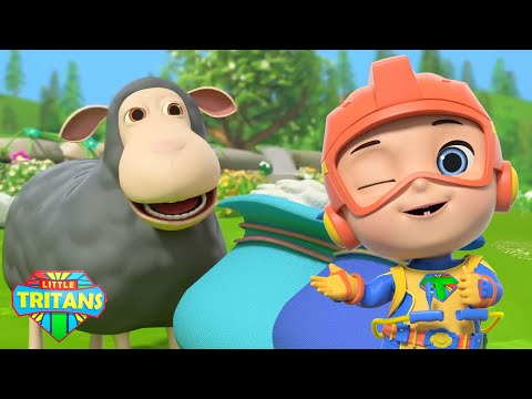 Baa Baa แกะดำ + วิดีโอและบทกวีการเรียนรู้ก่อนวัยเรียนสำหรับเด็กทารก - Little Tritans