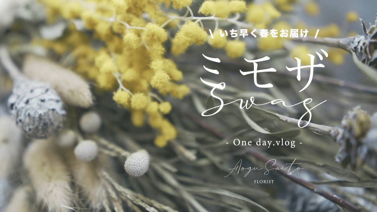 季節まで待ちきれない!【ミモザスワッグ】 vlog ｜ 花屋 ｜ ドライ
