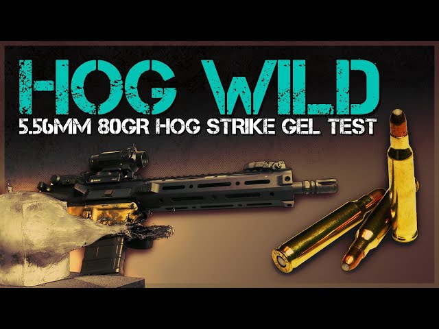 Lipstick On A Pig or Hog Wild? 5.56mm 80gr Hog Strike Gel Test