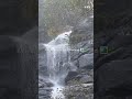 Kiliyur waterfalls- Yercaud #waterfall #travel #nature #yercaud #Kiliyur #viralshorts