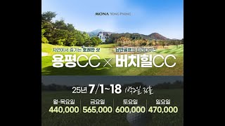 자연속 낭만골프 강원도 용평CC 버치힐CC 명문 골프