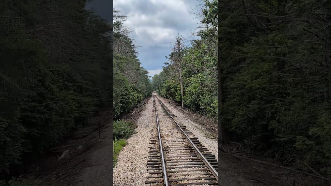 Step Inside This Stunning 1900s Luxury Train Car in 50 Seconds!