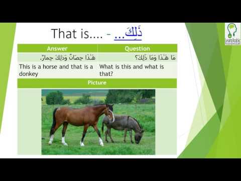 Learn Arabic Lesson :The noun ذَلِكَ which means 'That'