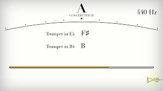TRUMPET INTONATION | How to Improve Tone, Embouchure & Tuning