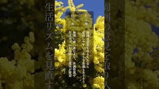 今週は“ゆっくり進む人”がうまくいく 週間12星座メッセージ #12星座占い #占い #星座別メッセージ