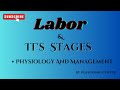 Labor And It's Stages | Physiology | Mechanism | Management | PG Nursing Center