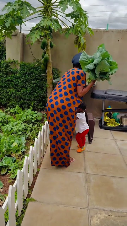 Amberay's Daughter is very brilliant #AfricanahRapudo #Amberay #Rapudo
