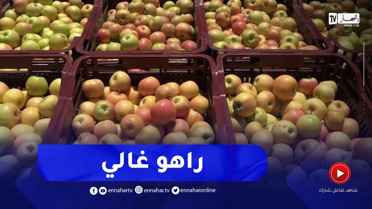خنشلة : التفاح..إرتفاع للأسعار والتجار يصطادون أحلام الفلاح