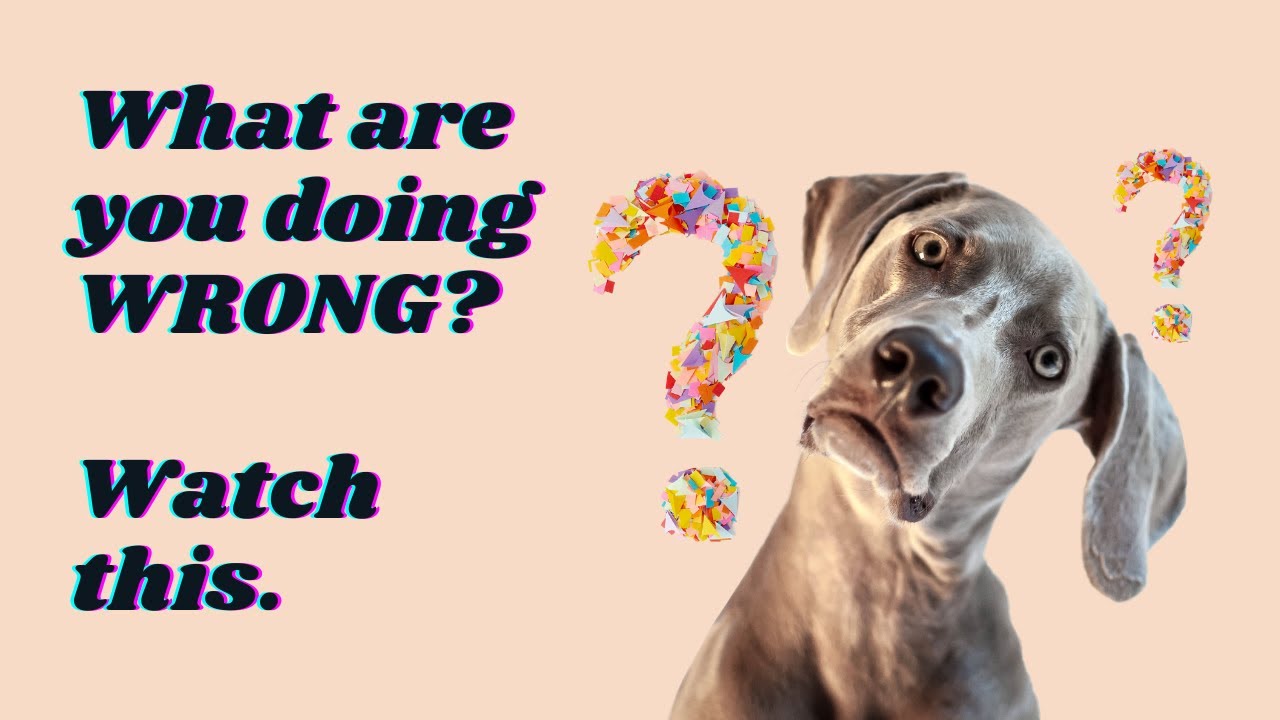  Morning Manifestation