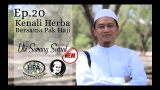 Ep.20 Kenali Herba Bersama Pak Haji (Ubi Sarang Semut/Coscinium Plus)