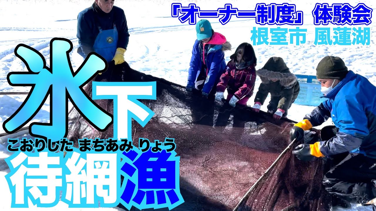 Big Catch❗] Experience Under-Ice Net Fishing! The kids had a