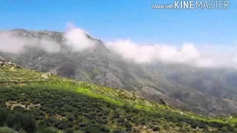 اقتلوا يوسف .... ..تلاوة رائعة جدا القارئ حماد بن عزي حفظه الله