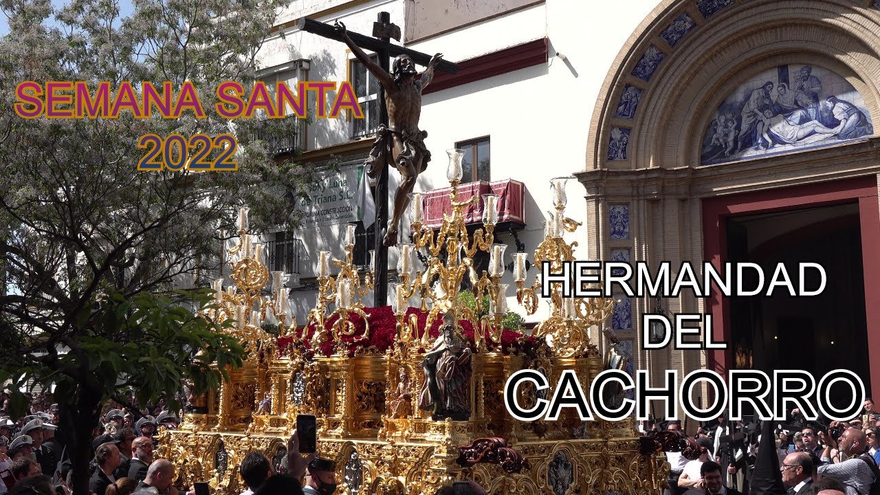 EL CACHORRO - Salida (2022) (4K)