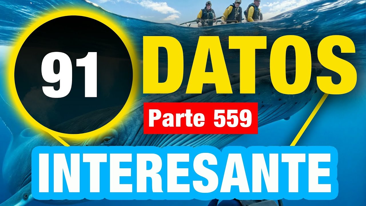 91 Datos Curiosos Que Te Sorprenderán