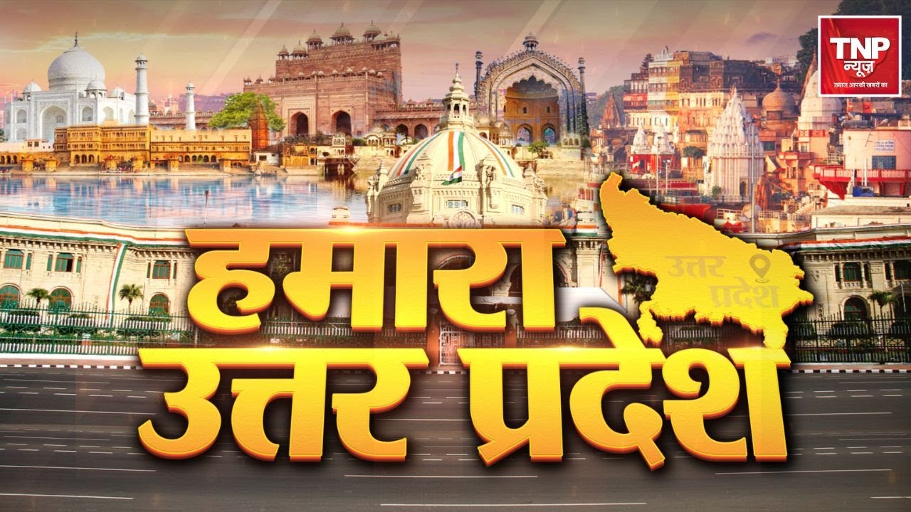 Lucknow Sheep Death: लखनऊ के दुबग्गा इलाके में 71 भेड़ों की मौत, CM योगी ने लिया संज्ञान