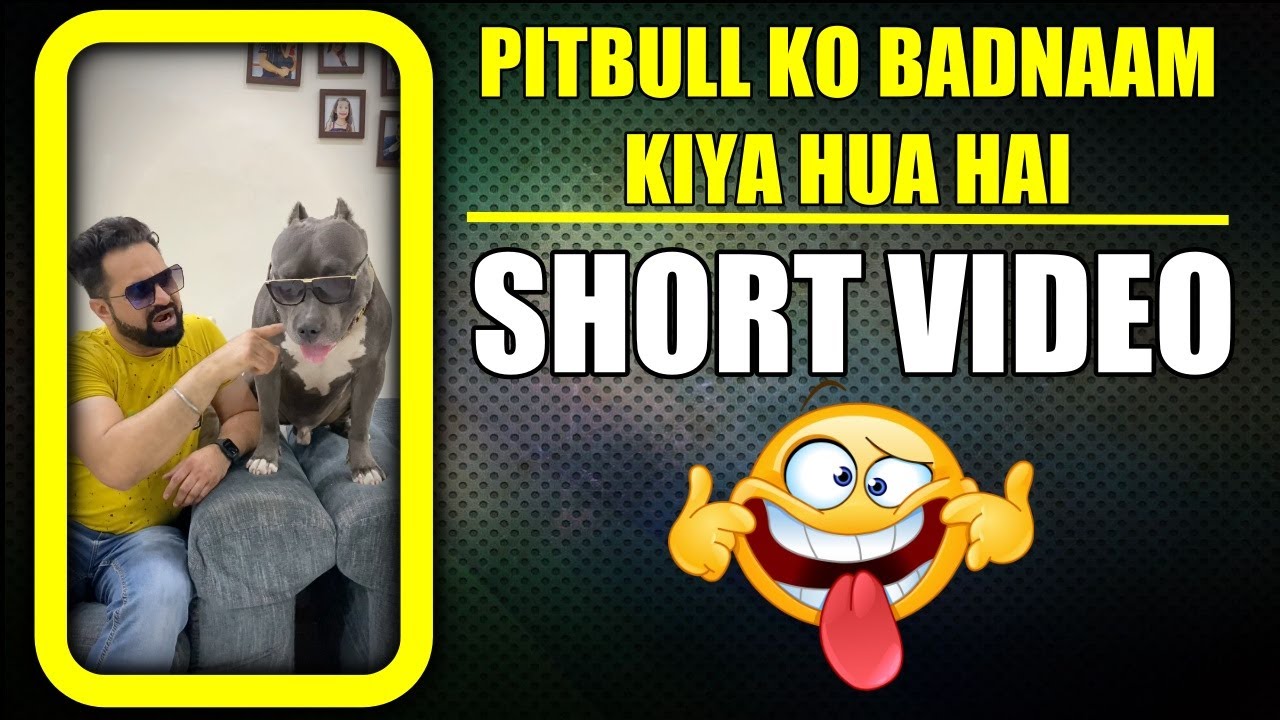 Pitbull Ko Aise hi Badnaam Kiya Hua hai ? Funny Dog #shorts | Harpreet SDC
